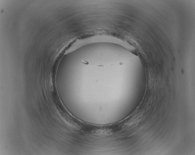 X0000076380251200610271535