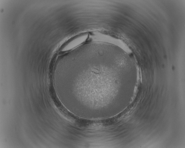 X0000076380252200610271535