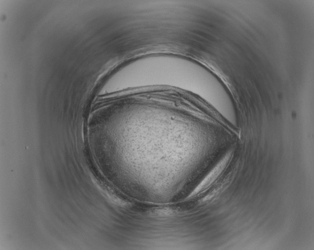 X0000076380253200610271535