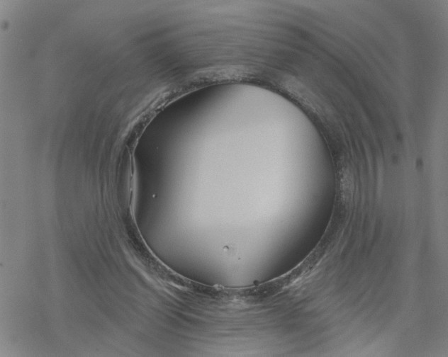 X0000076380254200610271535