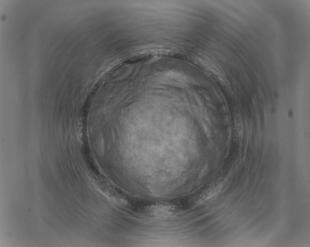 X0000076380255200610271535