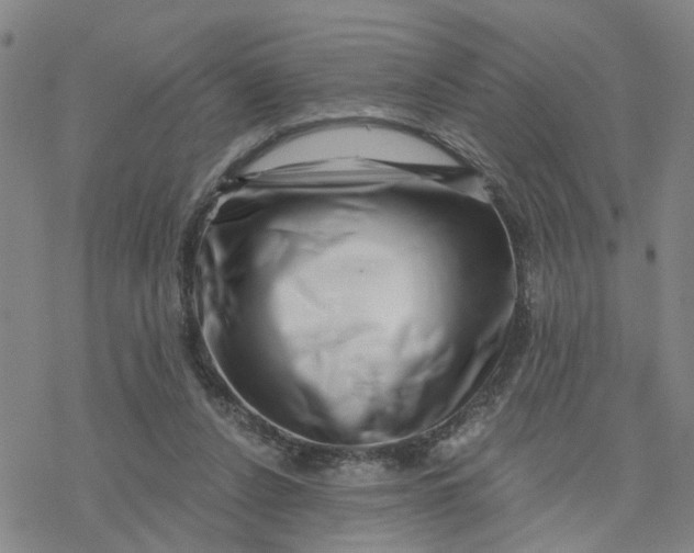 X0000076380256200610271535