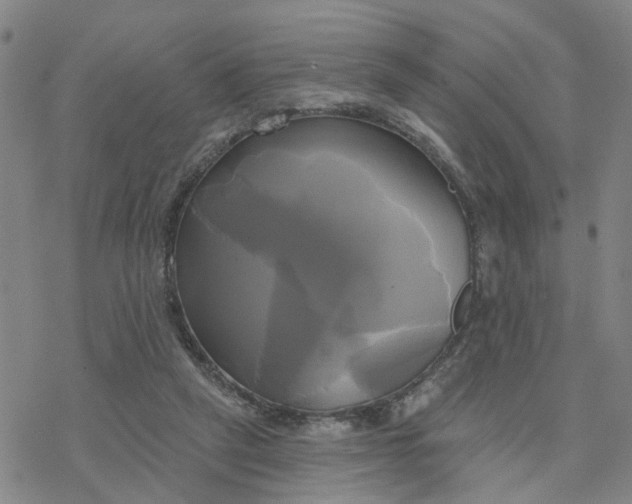 X0000076380257200610271535