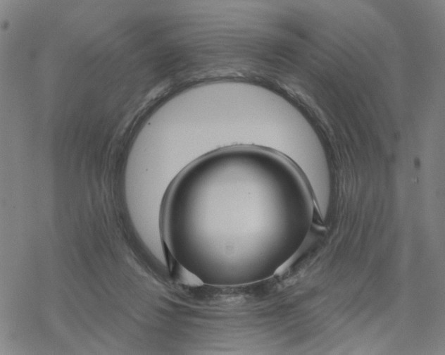 X0000076380260200610271535