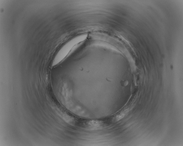 X0000076380261200610271535