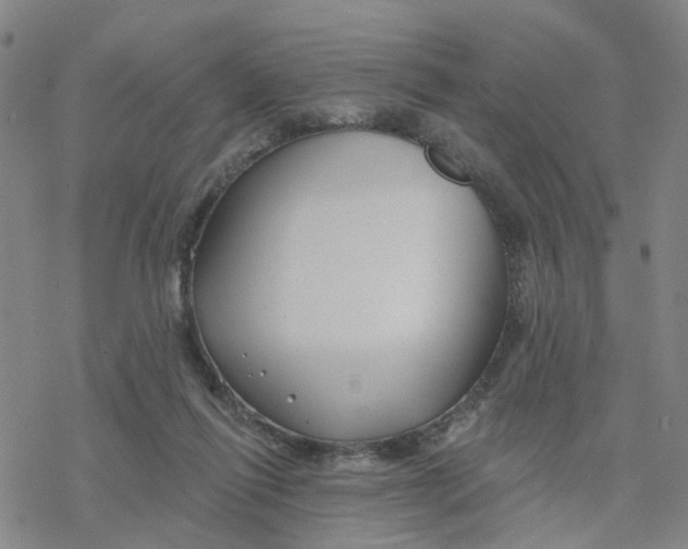 X0000076380262200610271535