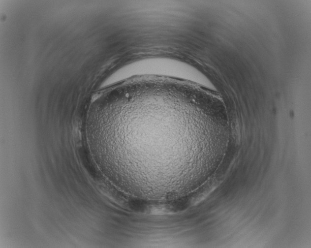 X0000076380264200610271535