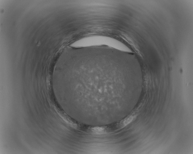 X0000076380265200610271535