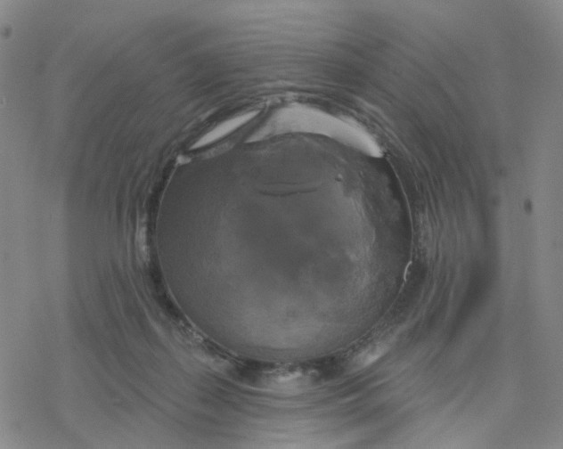 X0000076380267200610271535