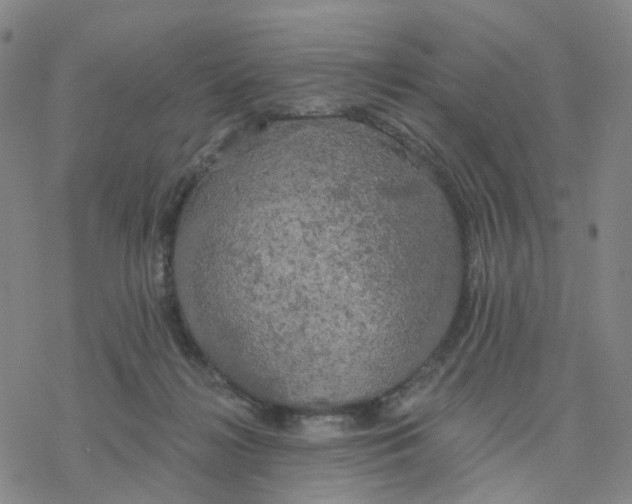 X0000076380268200610271535