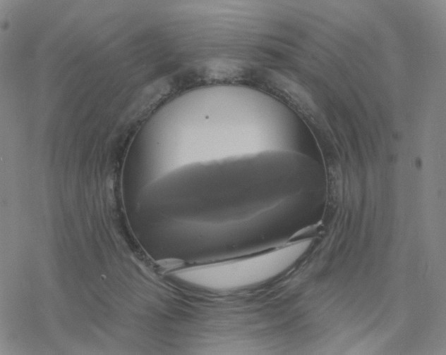 X0000076380269200610271535