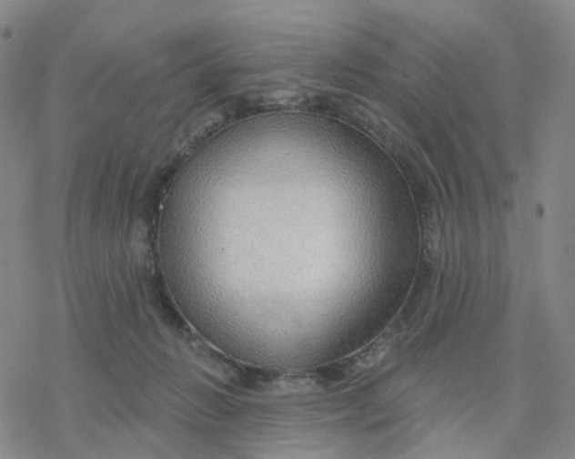 X0000076380270200610271535