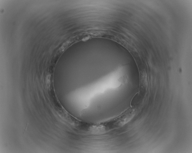 X0000076380271200610271535