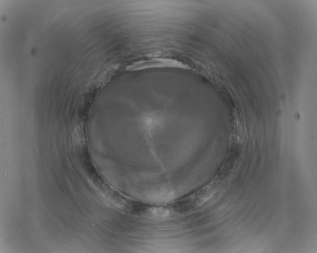 X0000076380272200610271535