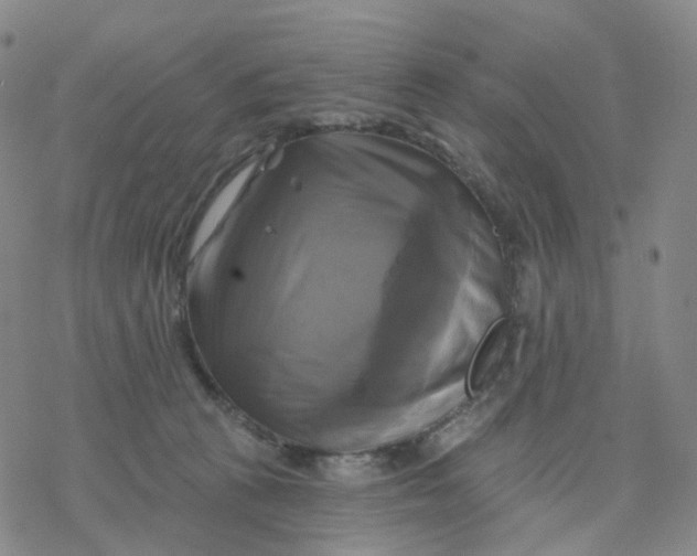 X0000076380273200610271535