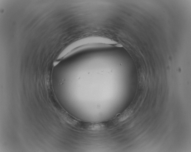 X0000076380274200610271535