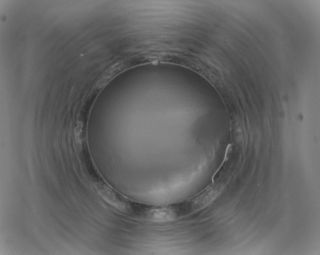 X0000076380275200610271535