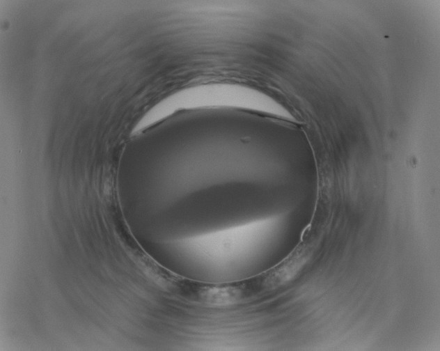 X0000076380277200610271535