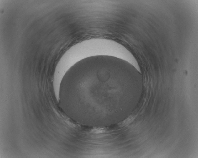 X0000076380280200610271535