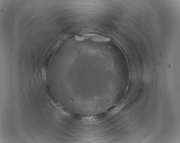 X0000076380281200610271535