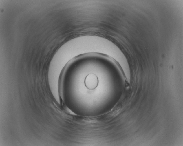 X0000076380284200610271536