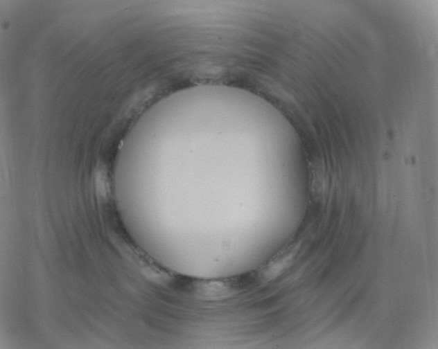 X0000076380287200610271536