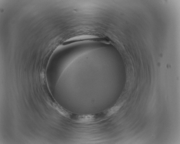 X0000076380288200610271536