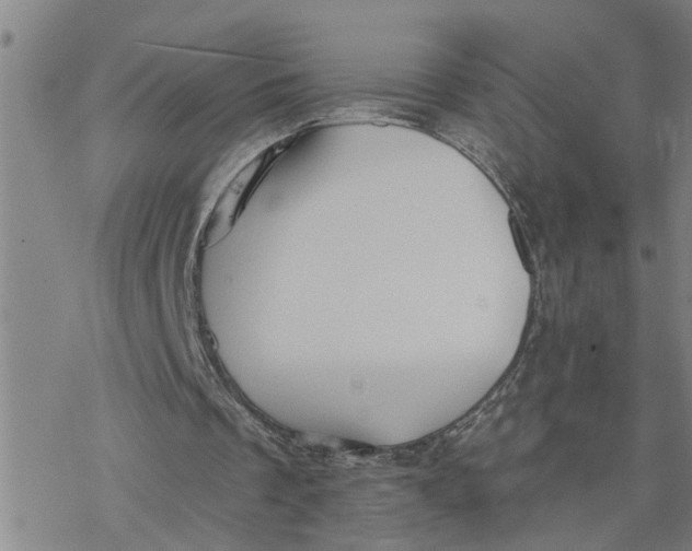 X0000076380289200610271535