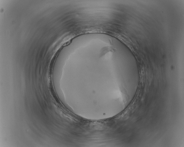 X0000076380290200610271535