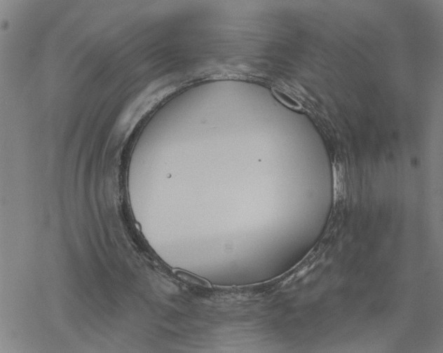 X0000076380291200610271535