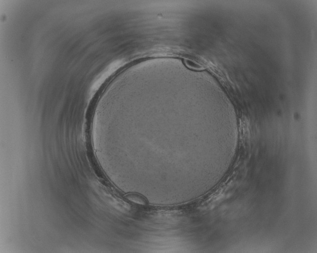 X0000076380292200610271535