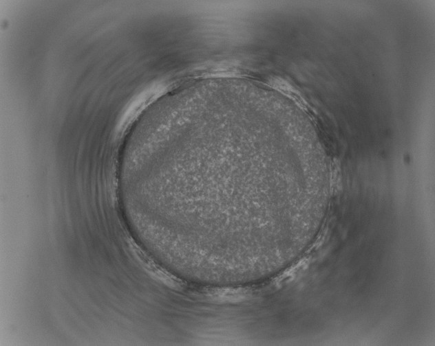 X0000076380293200610271535