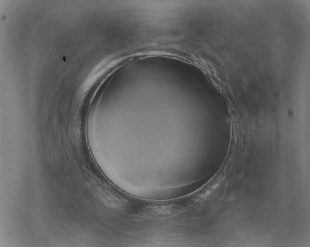 X0000076380295200610271535