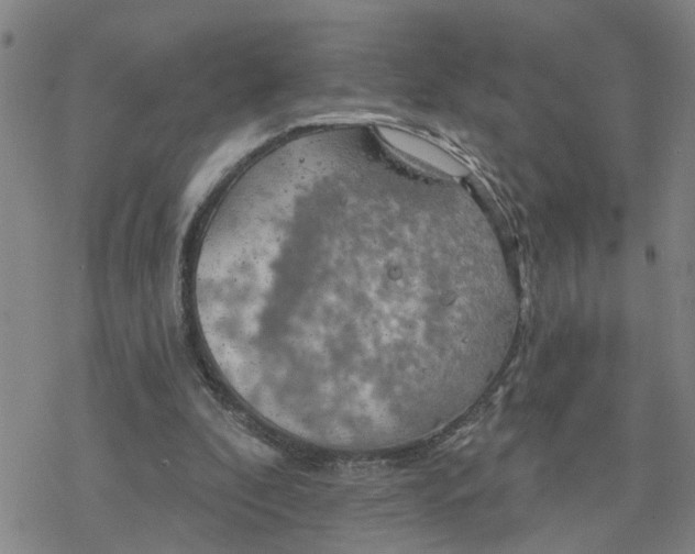 X0000076380296200610271535