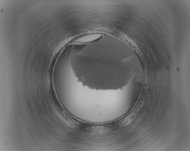 X0000076380298200610271535