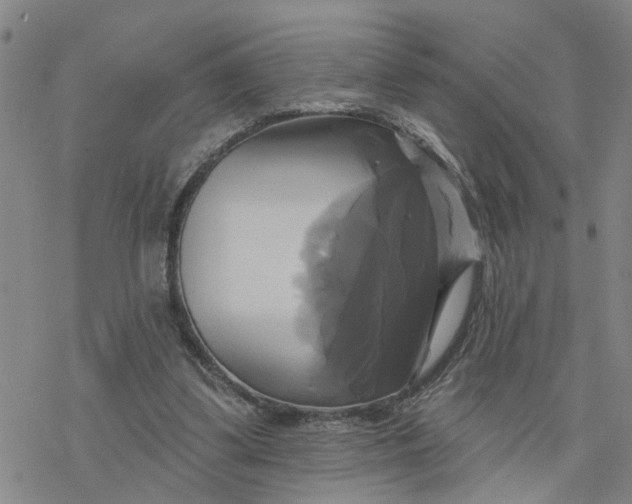 X0000076380299200610271535