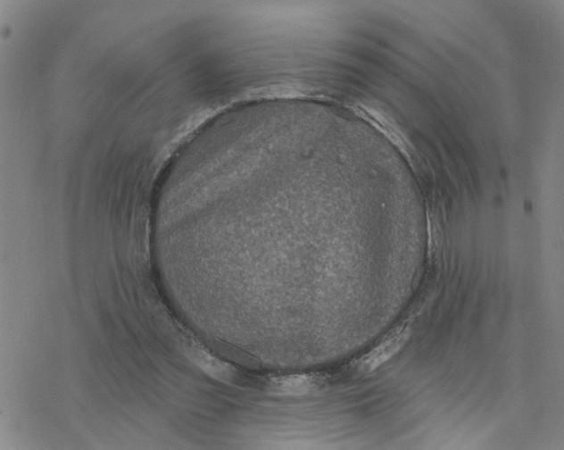 X0000076380301200610271535