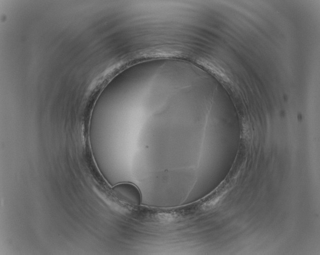 X0000076380302200610271535