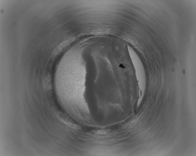 X0000076380303200610271535