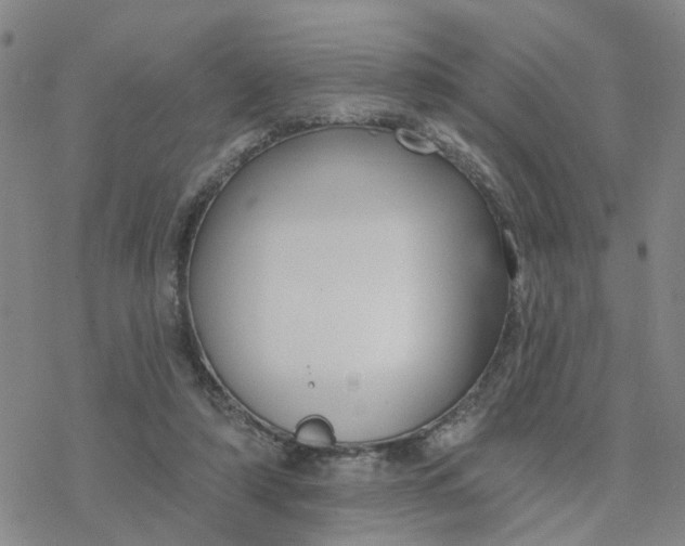 X0000076380306200610271535