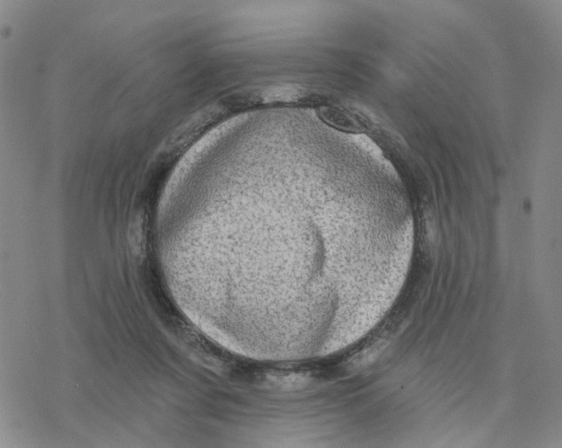 X0000076380311200610271534