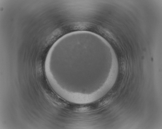 X0000076380312200610271534