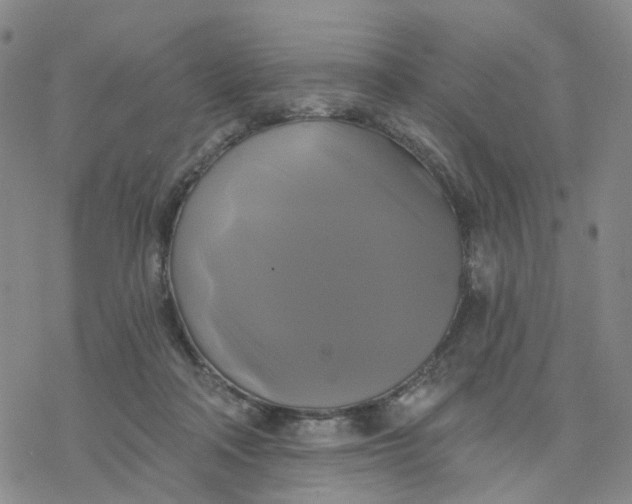 X0000076380314200610271534