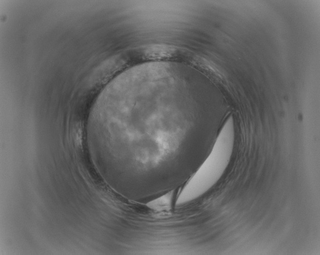 X0000076380315200610271534