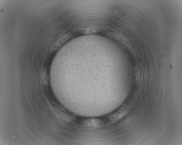 X0000076380316200610271534