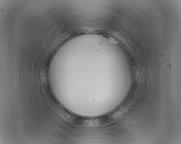 X0000076380317200610271534