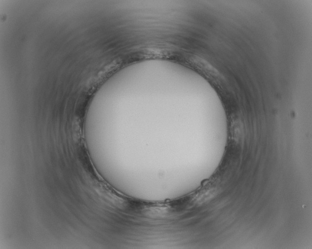 X0000076380318200610271534