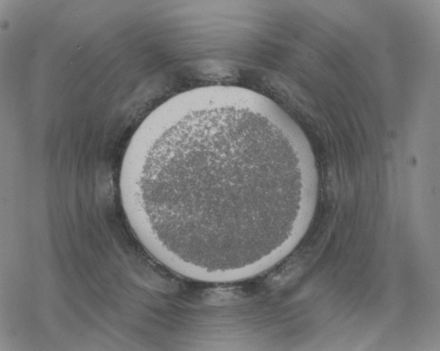 X0000076380320200610271534