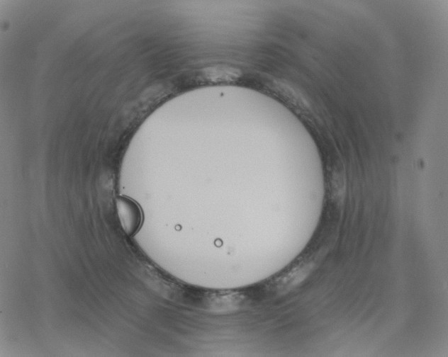 X0000076380321200610271534