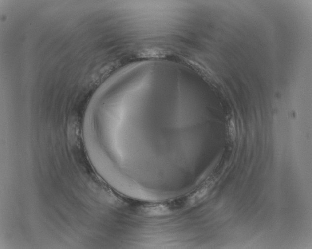 X0000076380322200610271534